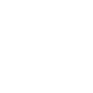 logo-VEOLIA